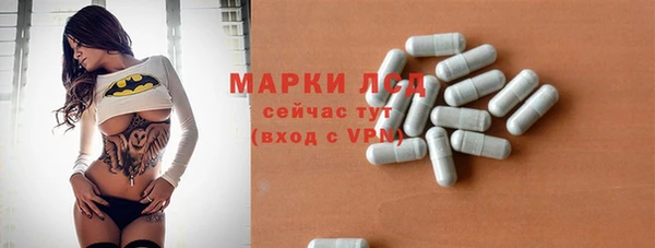 хмурый Тавда