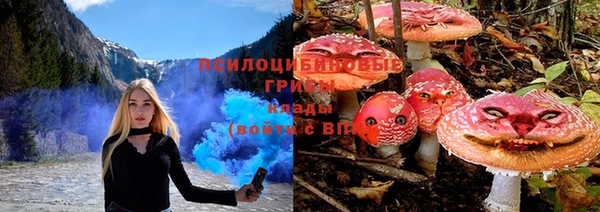 крисы Верхний Тагил