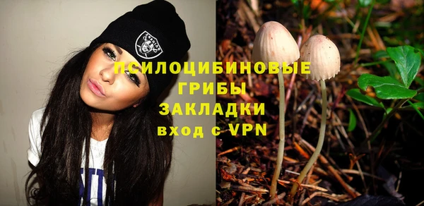 дмт Верея