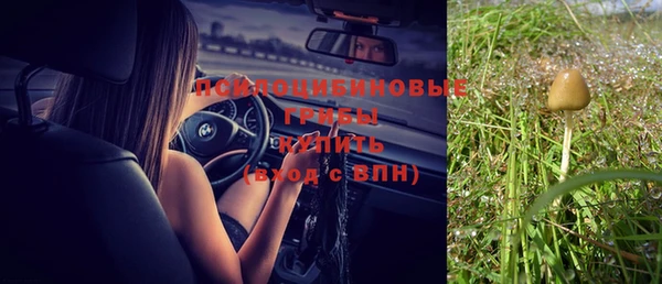 дмт Верея