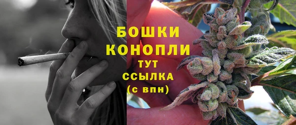 крисы Верхний Тагил