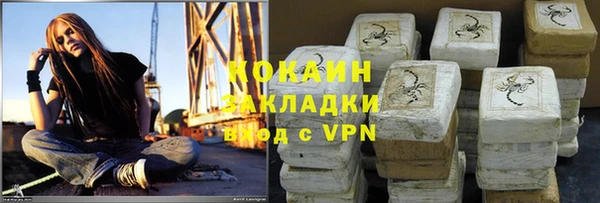 крисы Верхний Тагил